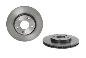 09.C249.11 Brembo Brake Rotor