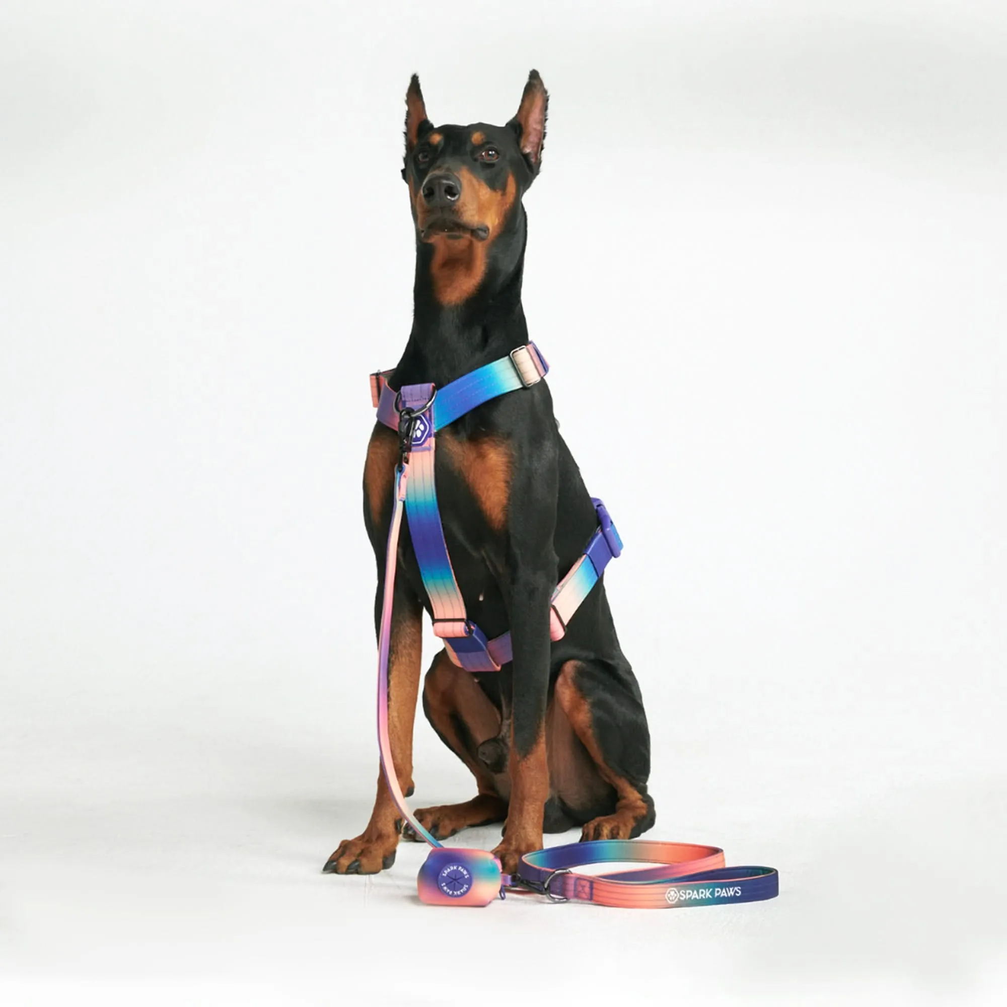 Comfort Control No-Pull Dog Harness Set - Kaleidoscope