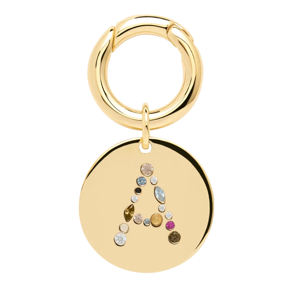 Letter A Pet Charm