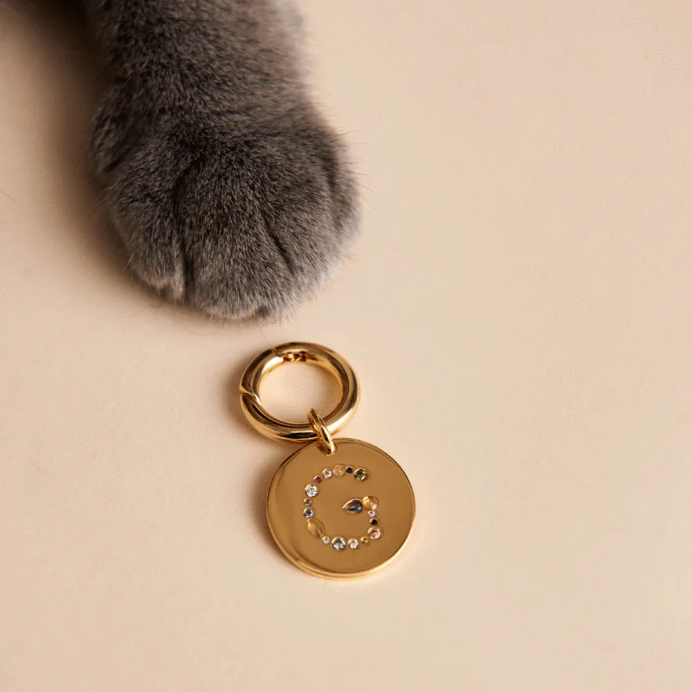 Letter K Pet Charm