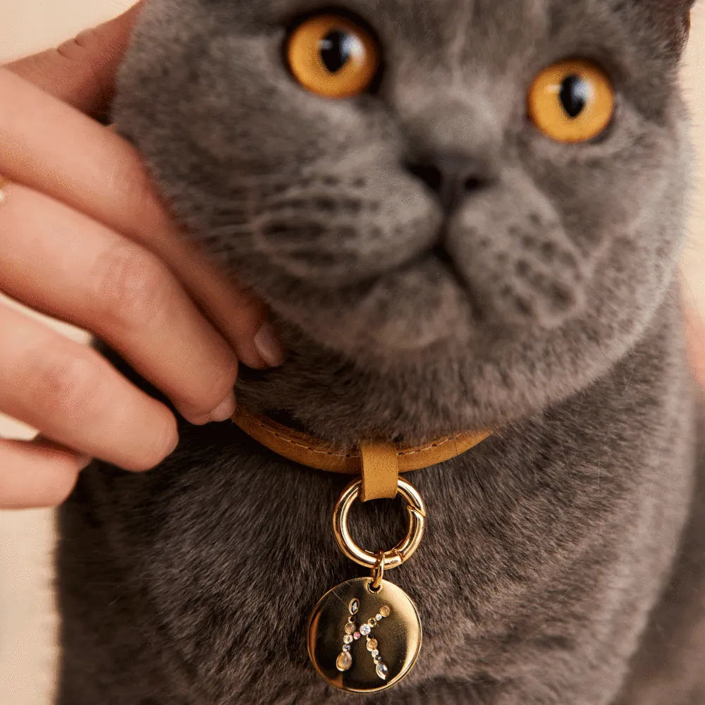 Letter K Pet Charm