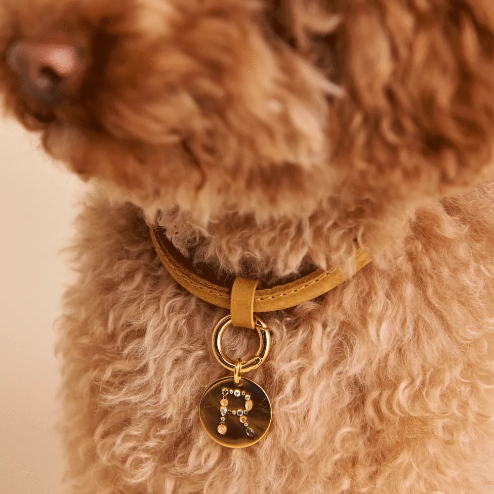 Letter R Pet Charm